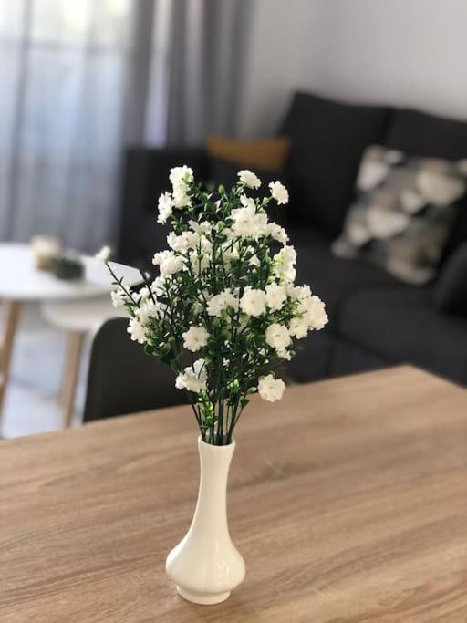 Encantador Apartamento Residencial Con Piscina توريمولينوس المظهر الخارجي الصورة